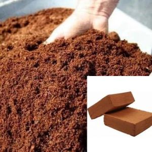 High EC Cocopeat Powder