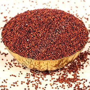 Finger Millet Seeds