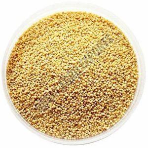 Foxtail Millet Seeds