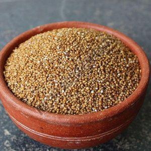 Kodo Millet Seeds