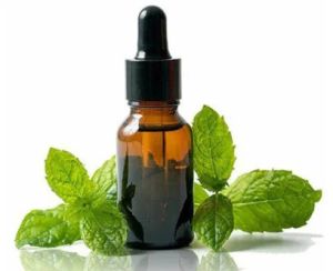 menthol essential oil