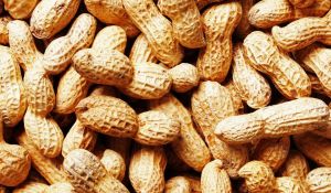 Groundnut Shell