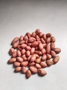 Groundnut Seeds