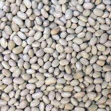 Organic Haricot Beans