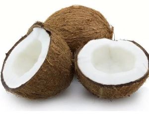 A Grade Semi Husked Coconut