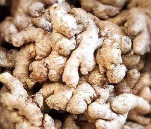 Ginger for paste