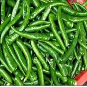 A Grade Fresh Green Chilli