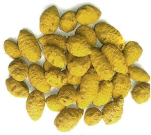 Erode Turmeric Bulb