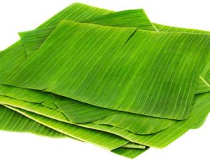 Banana Leaf