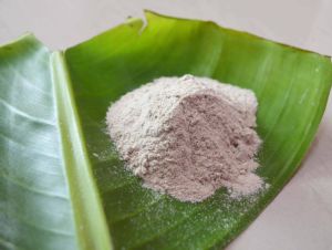 White Banana Powder