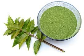 Organic Neem Leaf Powder