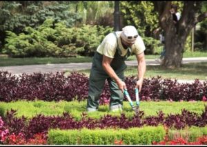 All Type Manpower Provides