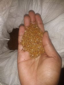 Finger Millet Seeds