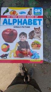 alphabet picture books