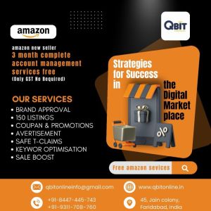 Ecommerce Account Management Services