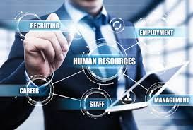 human resource consulting