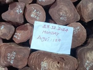 Red Sandalwood