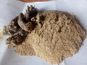 Akarkara Powder