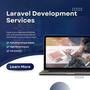 Larvel Developlment Services