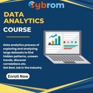 Data Analyst Course