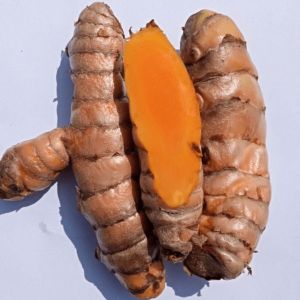 Dried Lakadong Turmeric Finger