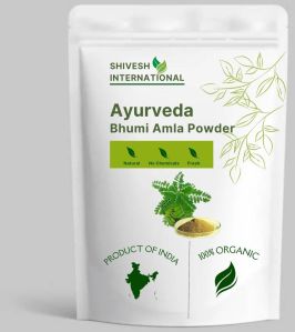 Ayurveda Bhumi Amla Powder