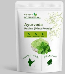 Ayurveda Pudina Mint Powder