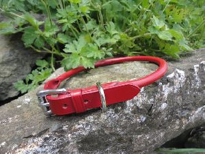 BRU-109A Leather Dog Collar