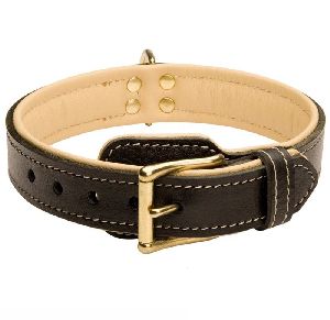 BRU-112 Leather Dog Collar