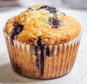 Blueberry Muffin