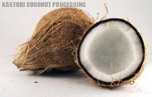 Fresh Semi Husked Mature Coconut