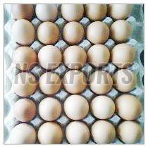 Brown Eggs