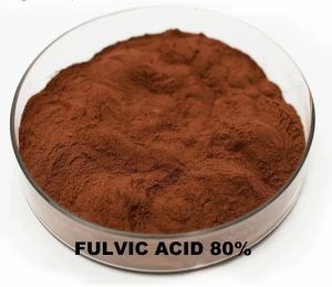 Fulvic Acid 80% Powder