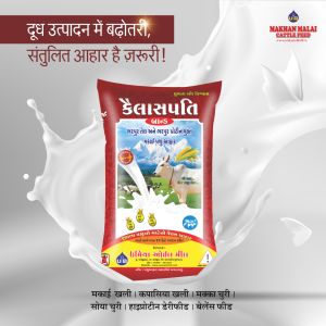 Kailashpati Maize Oil Cake