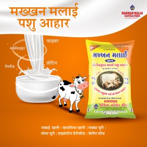 Natural Maize Oil Cake