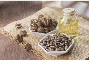 Castor Oil For Plastic Industry