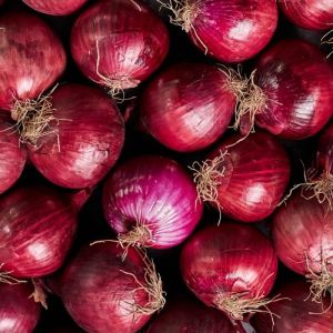 Fresh Red Onion