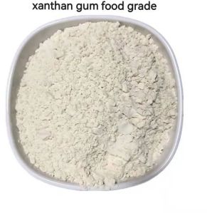 xanthan gum powder