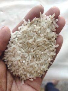 Rice normal pds