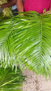 Natural Decorative Green Leaves