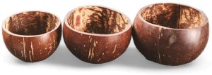 Coconut Shell Bowl Set