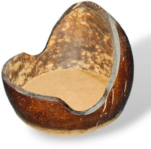 Coconut Shell Mobile Stand