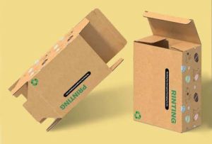 carton corrugated boxes