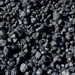 nagaland steam coal