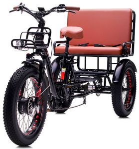 1000W 3 Seater E Trike Electric Tricycle