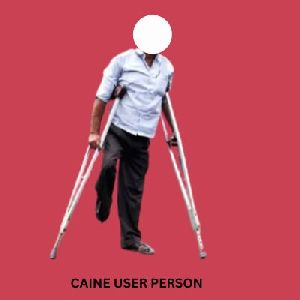 Accessibility Audits(PwD)