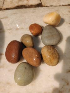 Multi Color River Pebbles