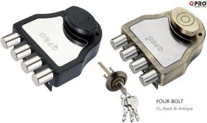 Main Door Locks