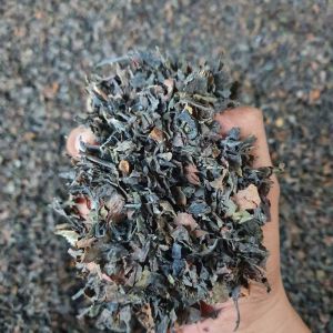 Seaweed Liquid