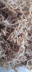Seaweed Liquid